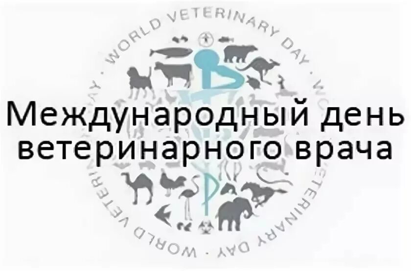 Международный день ветеринарного. С днем ветеринарного врача. Международный день ветеринарного врача поздравление. С днем международным днем ветеринарного врача. Международный день ветеринарного врача