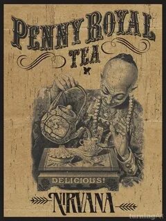 Pennyroyal tea