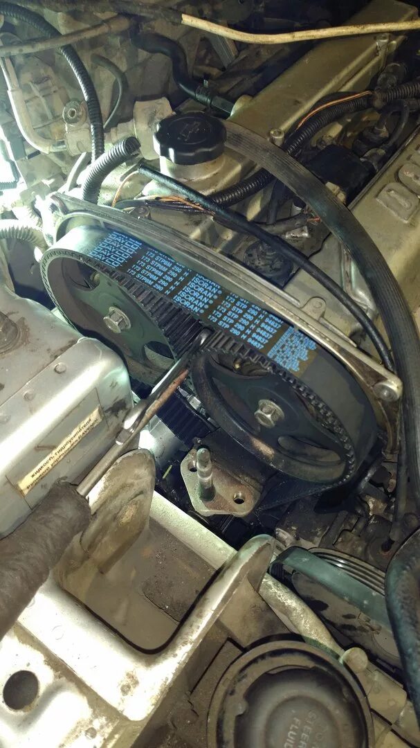 0 бета. 0 тагаз. Ремень грм на сонату. Грм 219yu32 dongil. 0 тагаз.