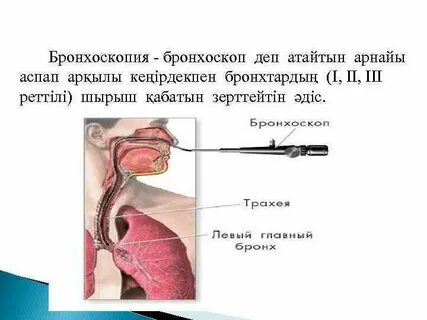 Фибробронхоскоп применяется для исследования состояния слизистых оболочек