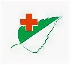 Регистратура 41