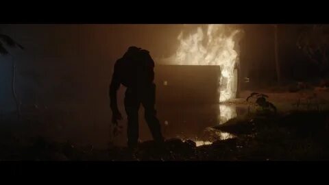 Blood and honey 2
