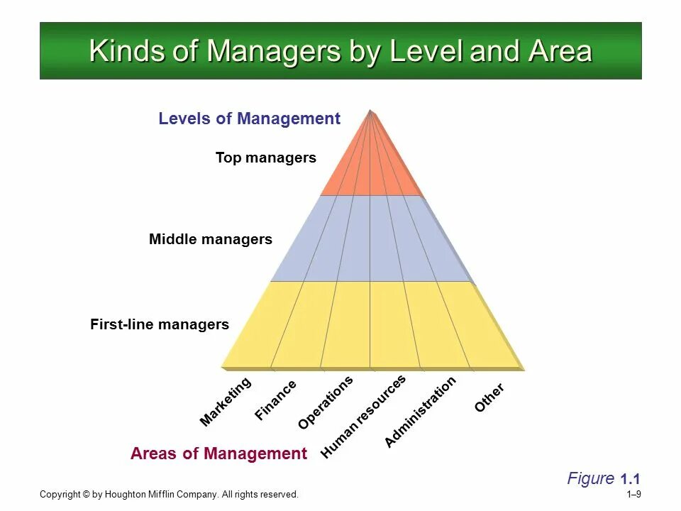 Levels of Management. Мидл менеджер. Areas of Management. Kind of Management.