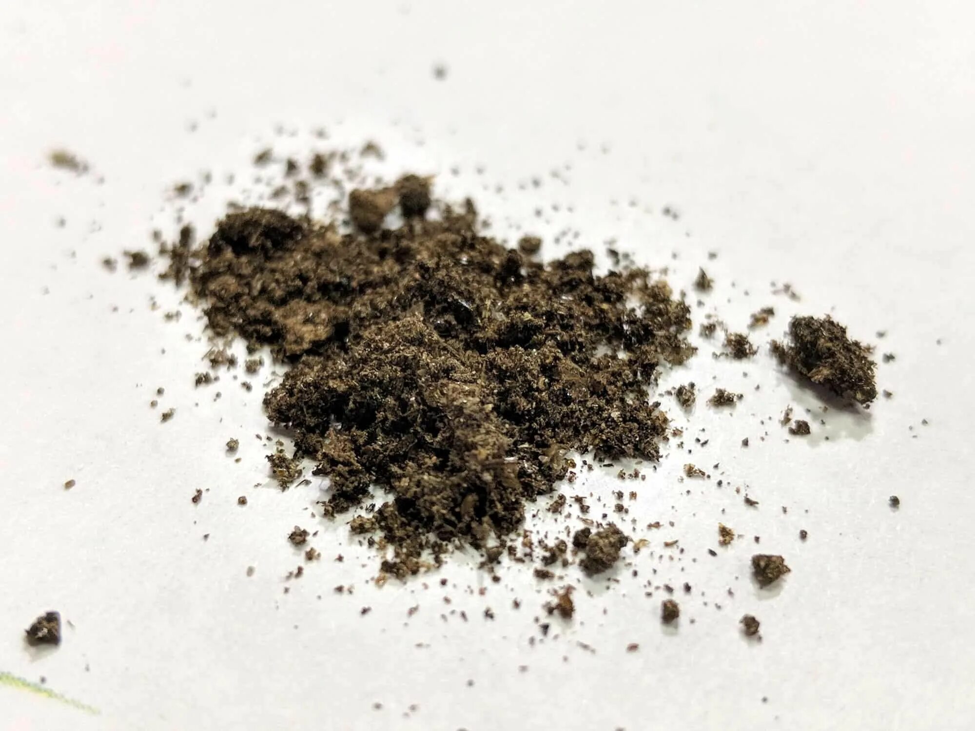 Мышиные какашки
