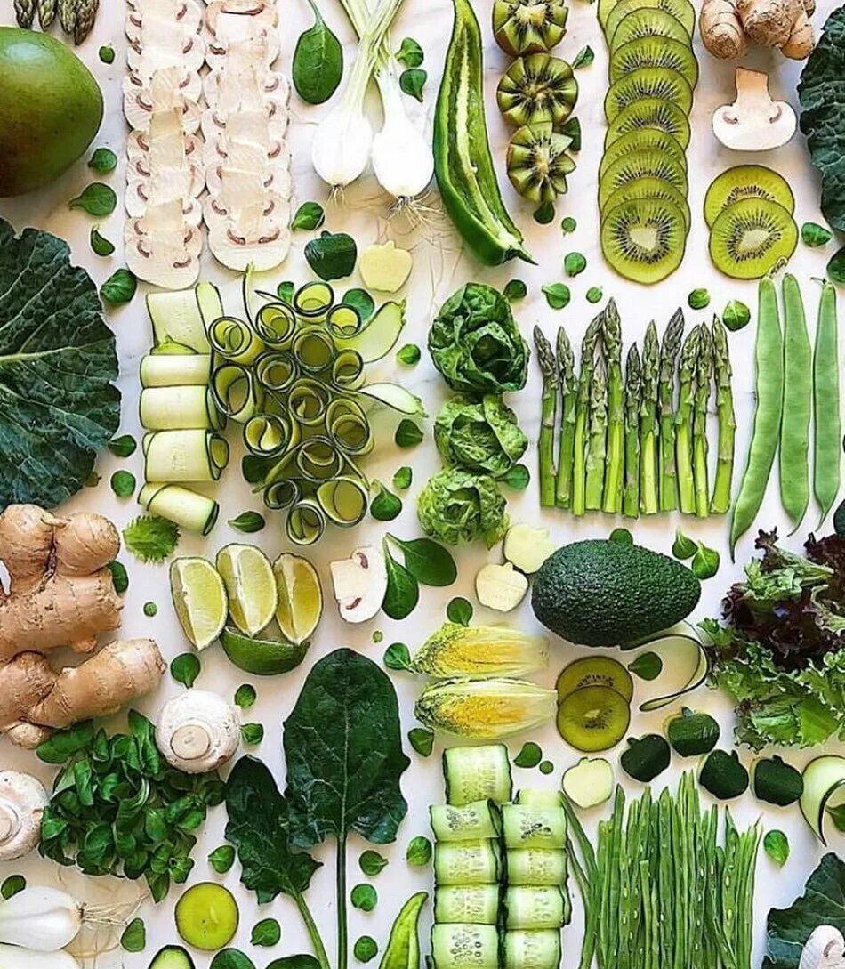 экопанель мох. петрушка базилик кинза. лолло росса микрозелень. листовая зелень. водное растение салатный овощ.