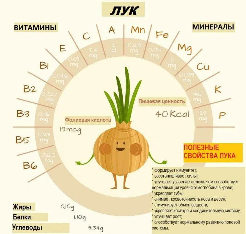 Витамины содержащиеся в луке репчатом. Лук репчатый витамины и минералы. лук репчатый витамины и минералы таблица. витамины в луке. витамины в луке репчатом.