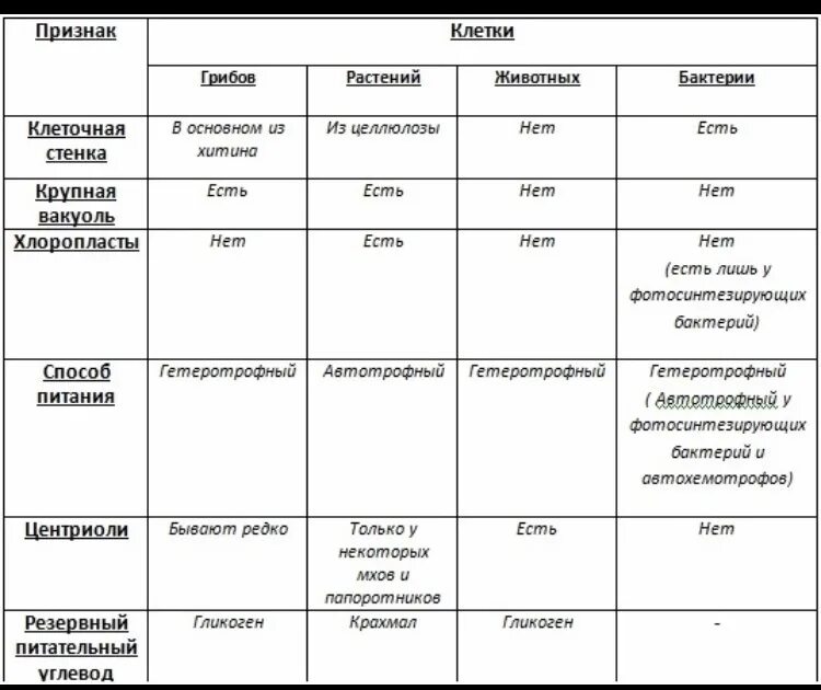 Используя рисунки в параграфе охарактеризуйте. Сравнительная таблица клеток растений животных бактерий грибов. Сравнение строения клеток растений животных грибов и бактерий. Сравнение клеток бактерий растений и животных. Сравнение клеток растений животных грибов и бактерий.