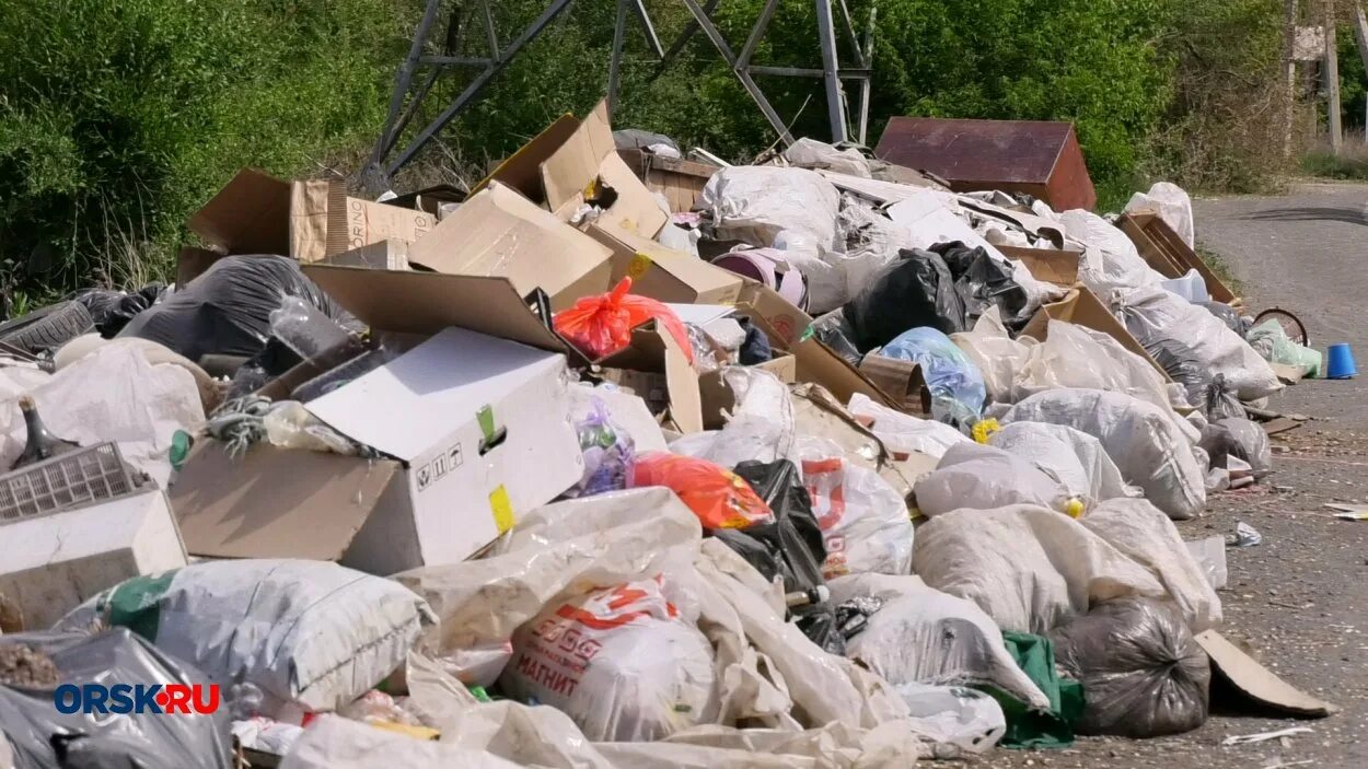 органик в мусоре. отходы кг. фото мусора. отходы кг. контейнеры для раздельного сбора тко.