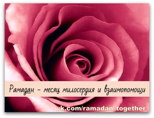Рамадан месяц милости и прощения. Рамадан месяц прощения и милости. рамадан это месяц прощения и милости прощайте друг друга. в месяц рамадан прошу прощения у всех.