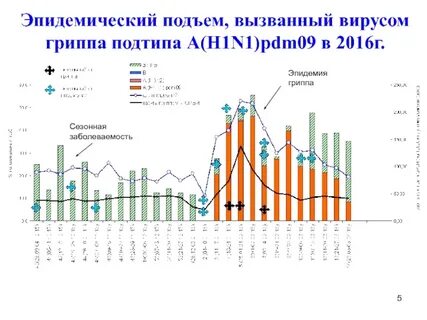 Заболеваемость гриппом в петербурге