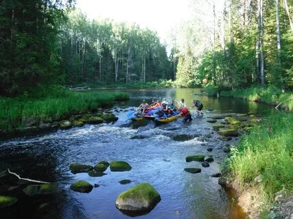 Сплав река область
