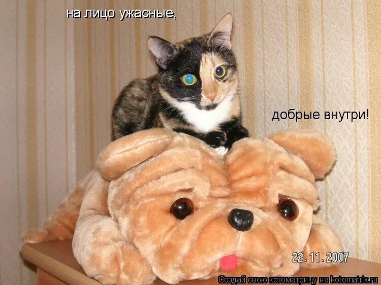 Свет внутри человека. На лицо ужасные добрые внутри. Солнце и человек. На лицо ужасные добрые внутри мем. Солнце радость.