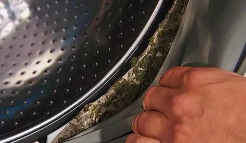 Как помыть барабан в стиральной машине