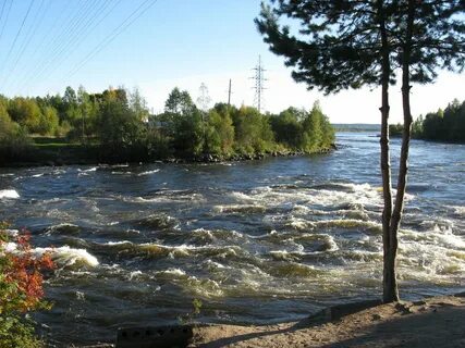 Лосево ленинградская область