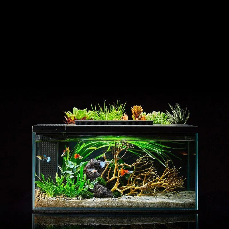 аквариум mijia. умный аквариум xiaomi petkit origin intelligent fish tank single cylinder 10l. аквариум сяоми 20 литров. аквариум сяоми 20 литров. аквариум хиаоми.