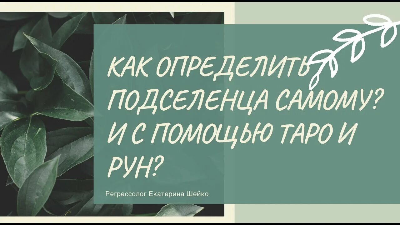 Как избавиться от подселенца. Как избавиться от подселенца