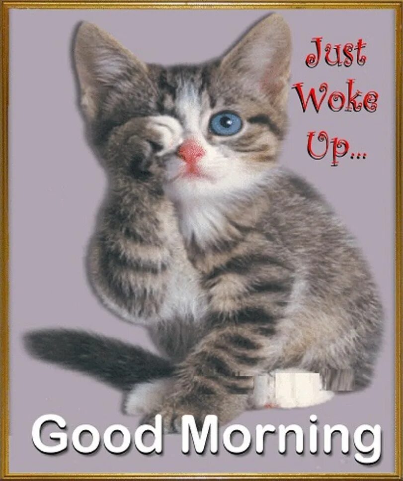 Just woke up