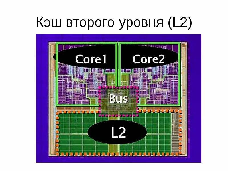 Кэш 3 уровня. Кэш память 2 уровня. Кэш первого и второго уровня.  Где располагается кэш 2 уровня?. Кэш память второго уровня l2.