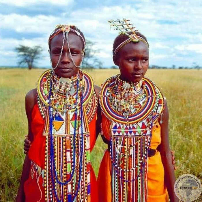 Tribe одежда