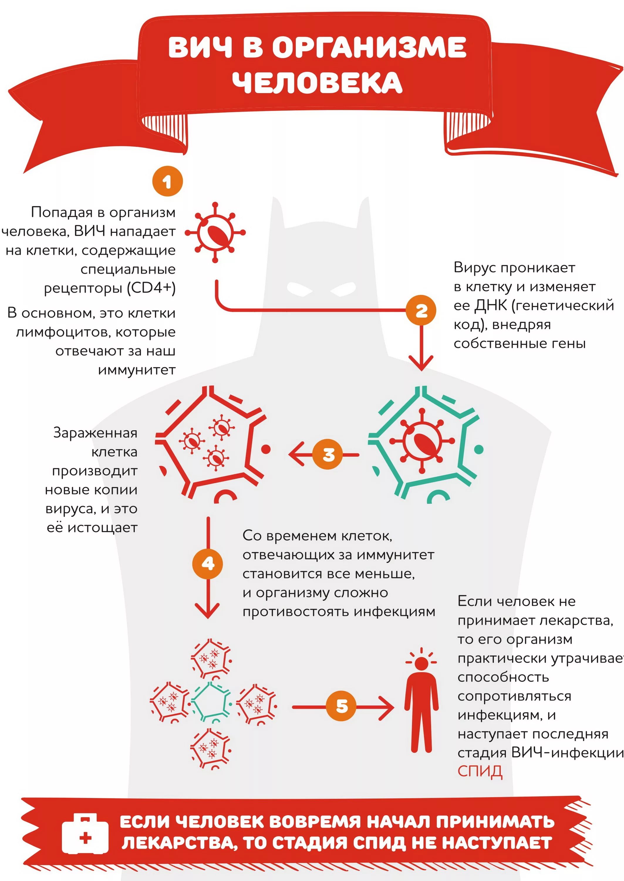 Спид организм. ВИЧ инфекция и СПИД симптомы и распространение. Профилактика ВИЧ инфекции инфографика. Памятка ВИЧ инфекции. ВИЧ-инфекция это заболевание.