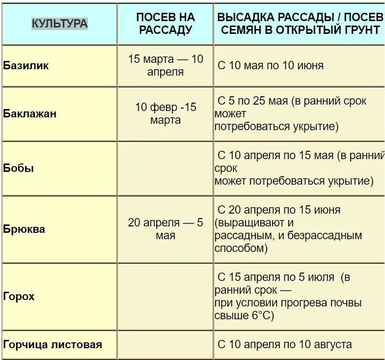 Когда сеять ранние помидоры на рассаду