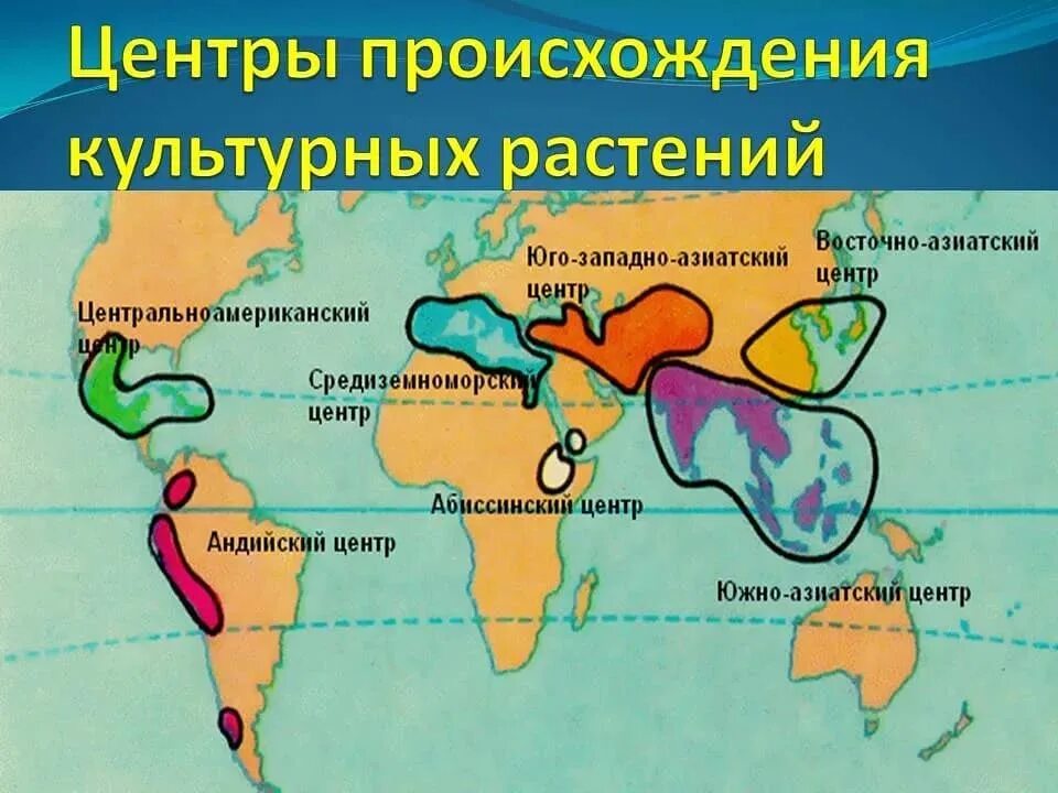 карта вавилова центры происхождения культурных растений. регионы селекции. и вавилову. центры одомашнивания животных и происхождения культурных растений. 7 центров происхождения культурных растений по вавилову карта.