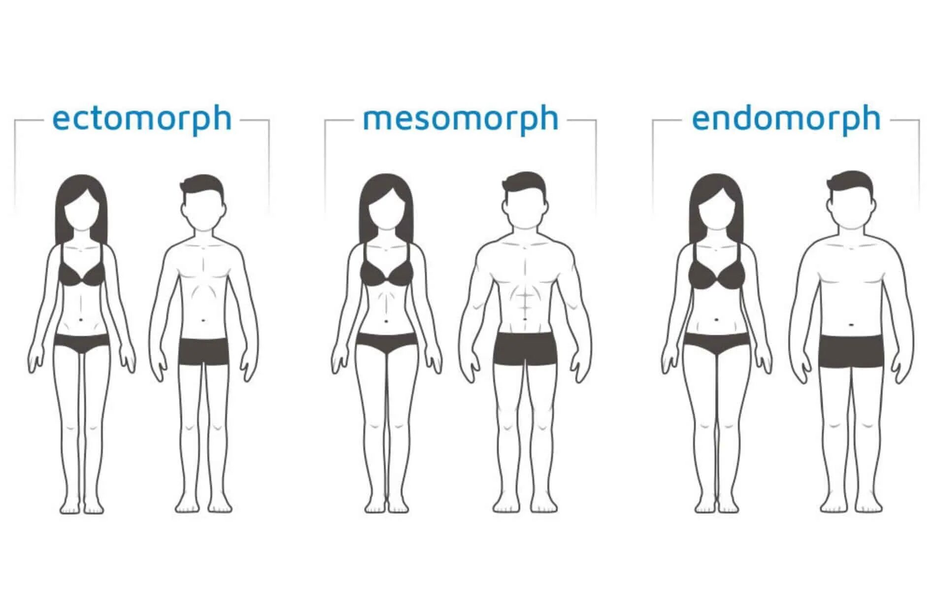 Фигура человека название. Типы фигур эктоморф эндоморф мезоморф. Тип телосложения эктоморф. Мезоморфное Телосложение женщины. Эктоморф мезоморф и эндоморф женщины.
