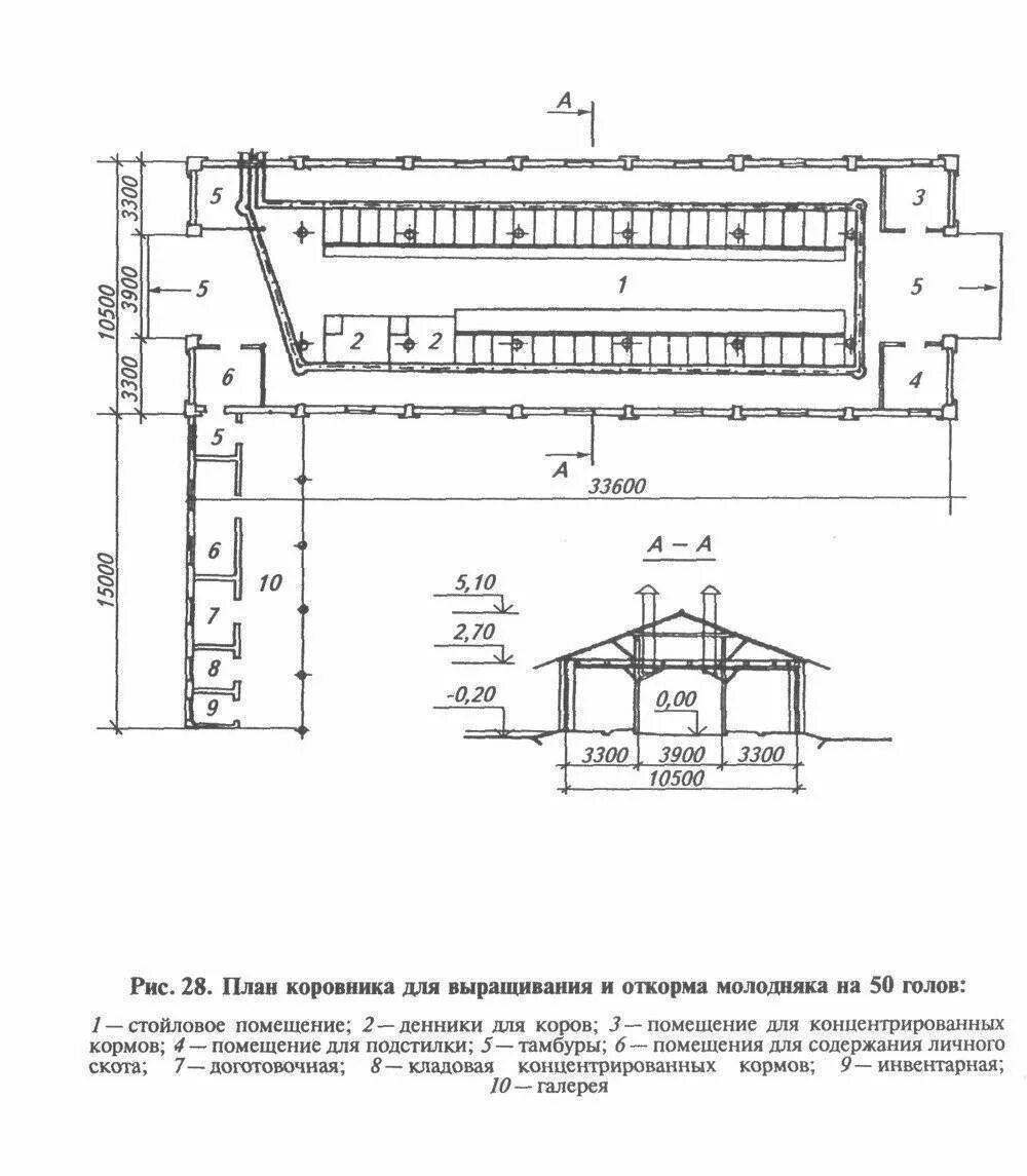 Схема сарая для животных и птиц. Ферма крс чертеж. Схема фермы крс для коров. План схема свинарника. Свинарник на 100 голов проект чертежи.