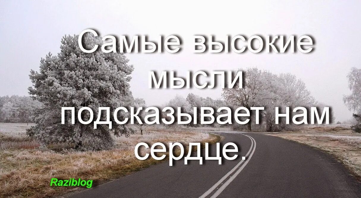 Дорогу подскажет нам сердце. Подскажи родная подскажи