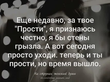 Куда мне твое прости