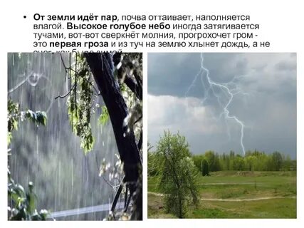 Приметы на 1 грозу