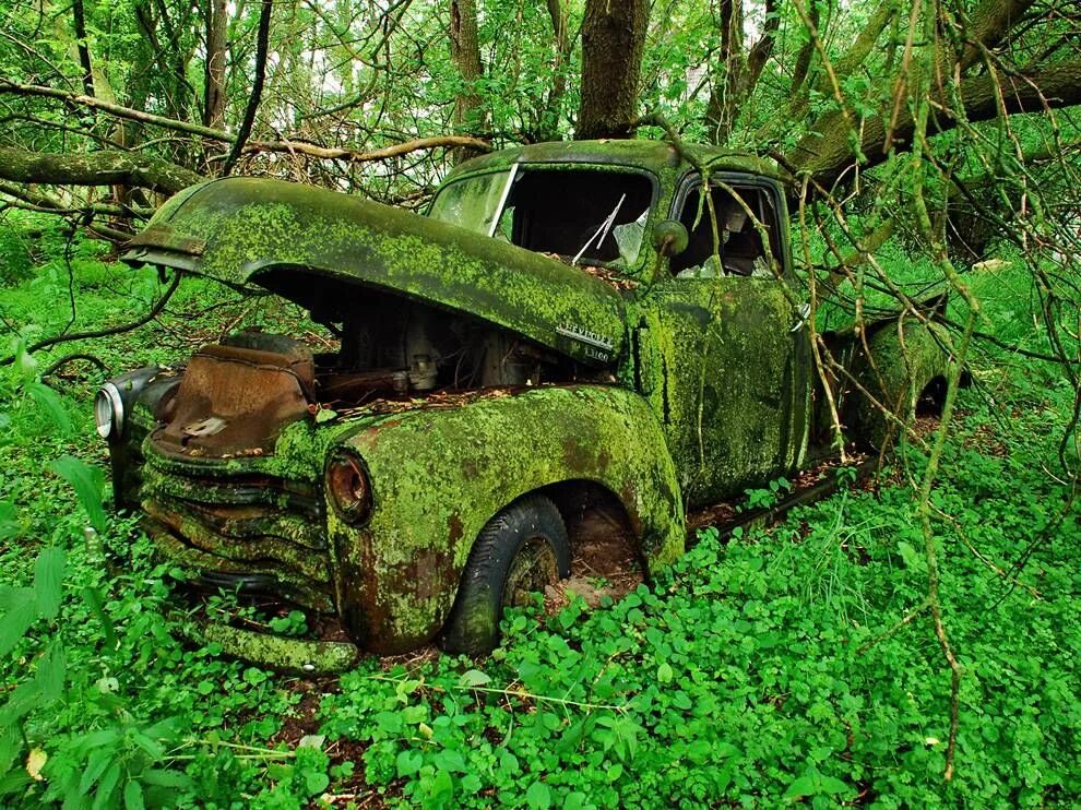 Заброшенный ваз 2102. Мох на ржавчине. Руины домов. Заросший дом. Старинный особняк заросший сад фэйри.