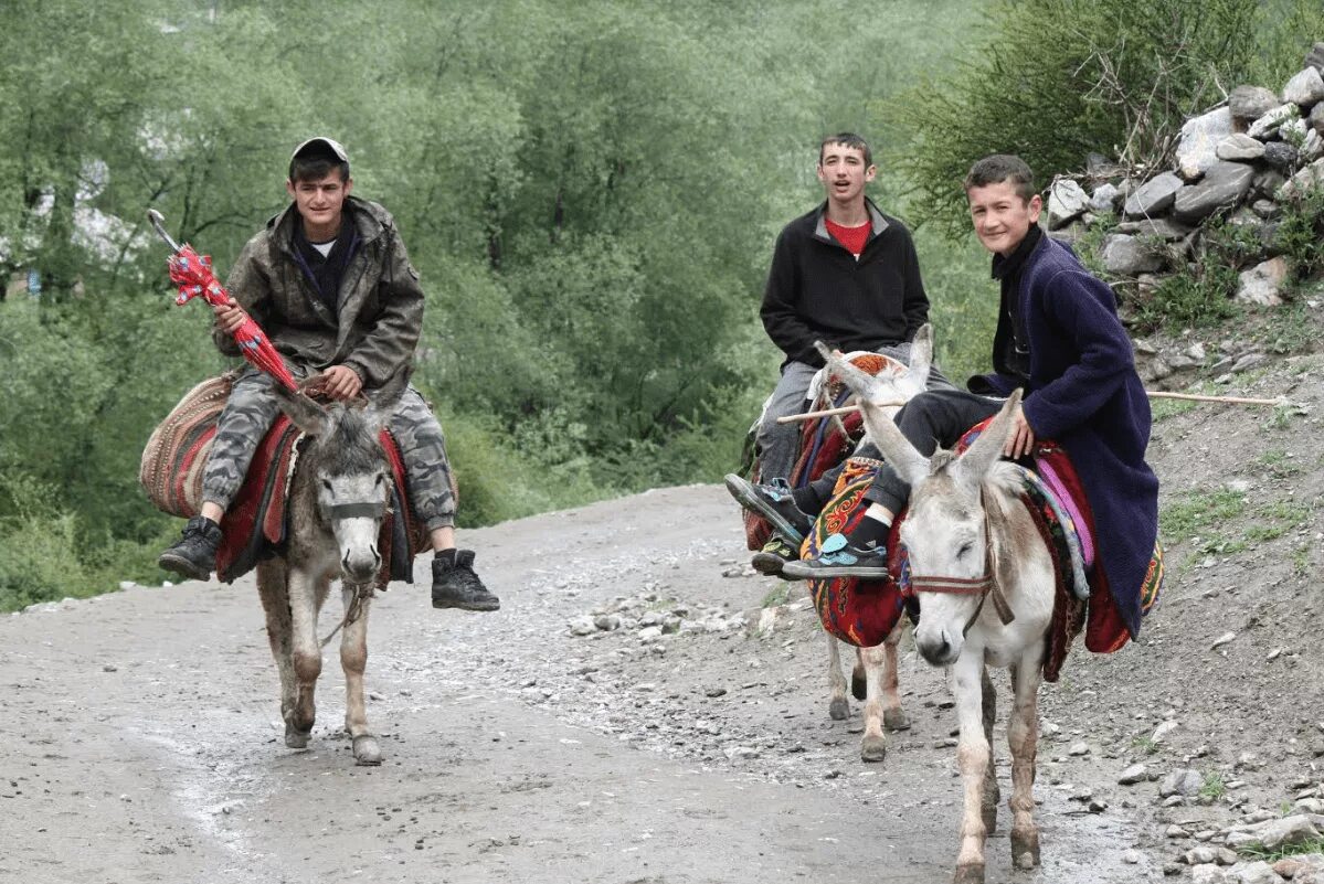 Погода в кишлаке. Село Артуч Таджикистан. Кишлак Артуч Таджикистан. Фароб Пенджикент. Фаробпенджикенттаджикистон.