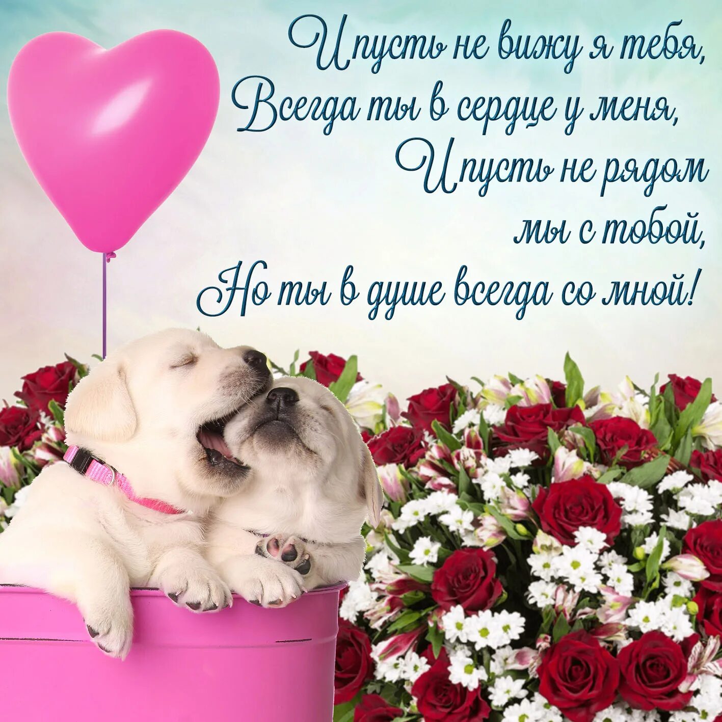 Ты всегда была заботливой