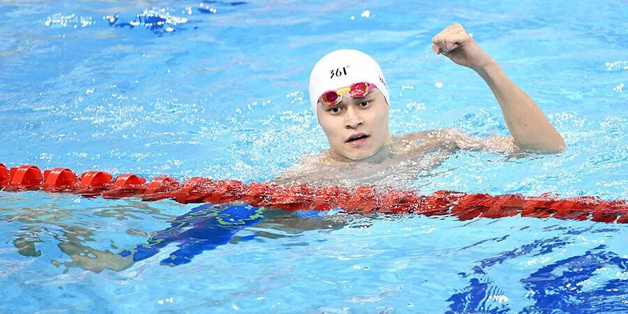 Чемпионы плавание информатика 7