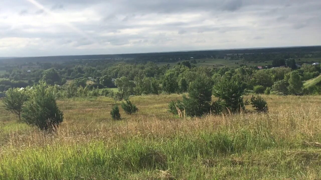 Пересыпкино Тамбовская область. Село первое Пересыпкино Тамбовская область. Гавриловский район Тамбовской области. Село Гусевка Тамбовской области.