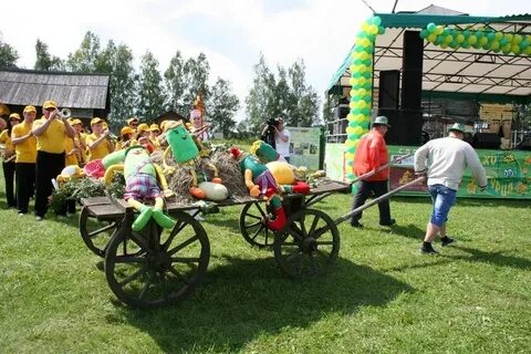 День суздаля программа