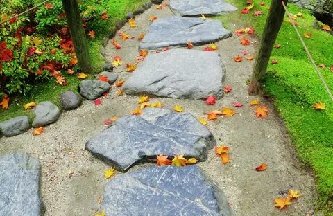 Path 30