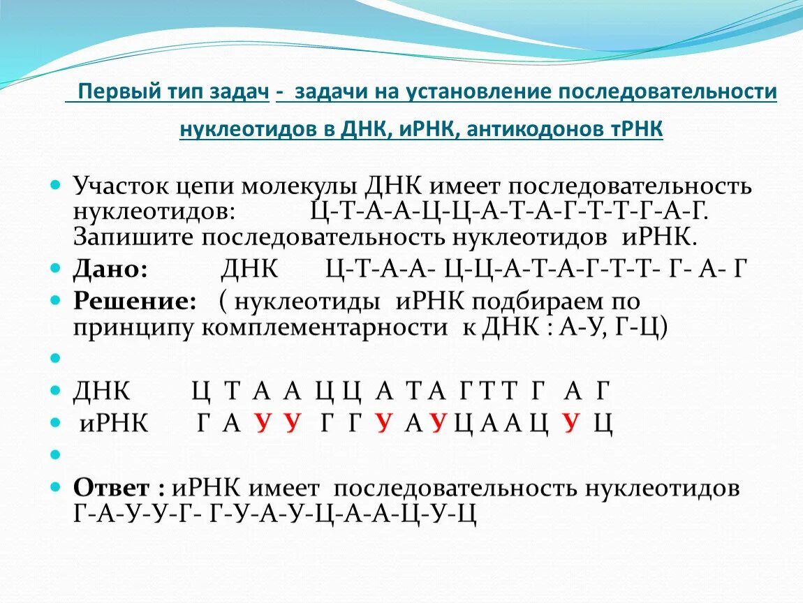 Составить цепь днк и рнк. Как составить цепочку днк. задачи на цепочки днк и рнк. как построить 2 цепь днк. как построить цепочку ирн.