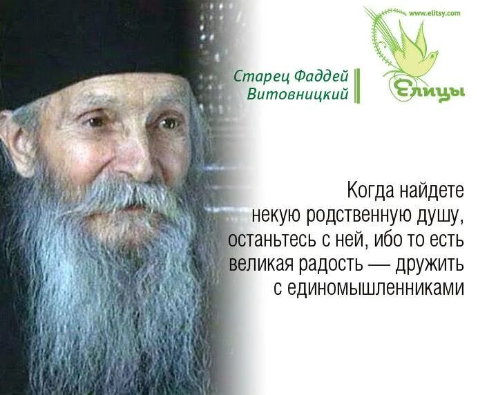 святые отцы о посте. архимандрит кирилл павлов изречения. старец современности. преподобный паисий святогорец изрече. святые старцы пророчества.