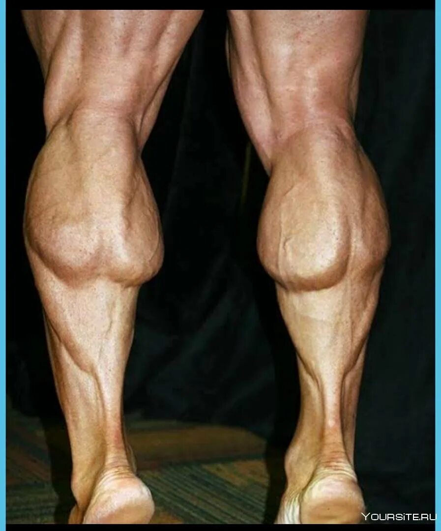Крепкие сильные ноги