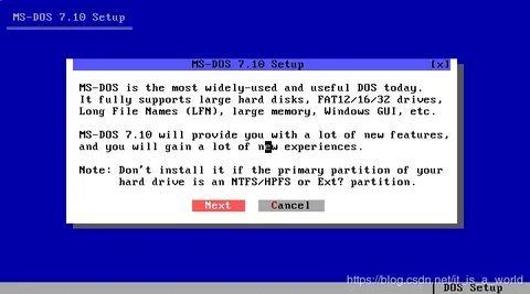 Ms dos word