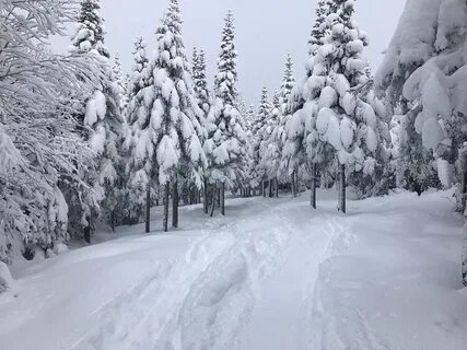 Мягкая зима климат