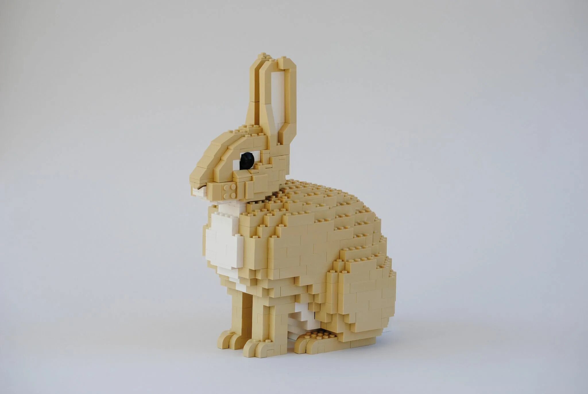 Rabbit blox. Rabbit blox
