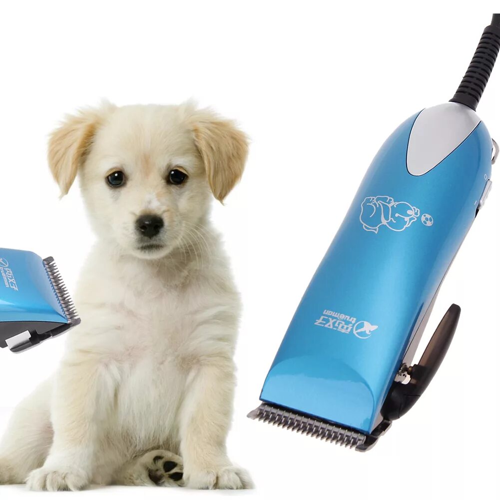 Машинка для шерсти собак. TV-710 машинка для стрижки собак Pet Grooming hair Clipper. Триммер для животных professional Pet Grooming hair. Триммер для животных professional Pet Grooming hair 635. Professional Pet Electric Clipper.