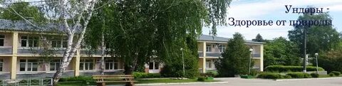 Санаторий дубки ульяновская область лечение