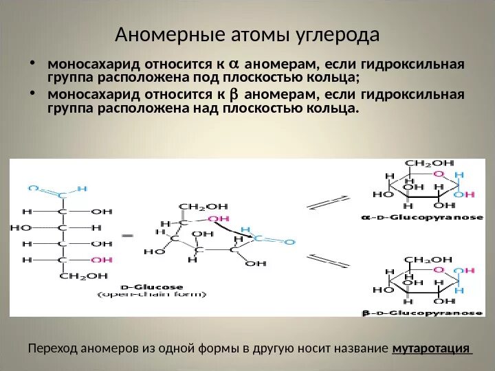 Моносахариды 6 атомов углерода. Альфа и бета аномеры моносахаридов. аномеры. аномерный атом углерода в моносахариде. аномерный гидроксил.