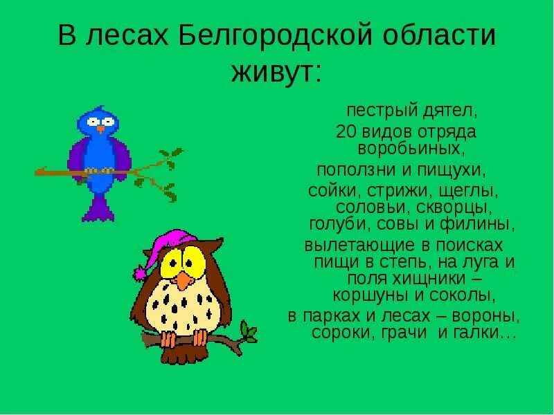 Всякая ли птица живет в Белгородской области?