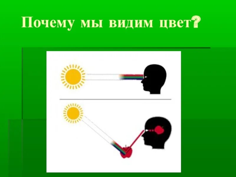 Почему мы видим цвета. Как мы видим предметы. Почему мы видим предметы. Как мы видим цвета. Что видит какой то предмет