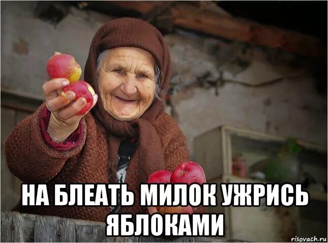 Мем где бабка с собакой на руках Aww F*CK Ecuas Dog слушать онлайн на Яндекс Музыке
